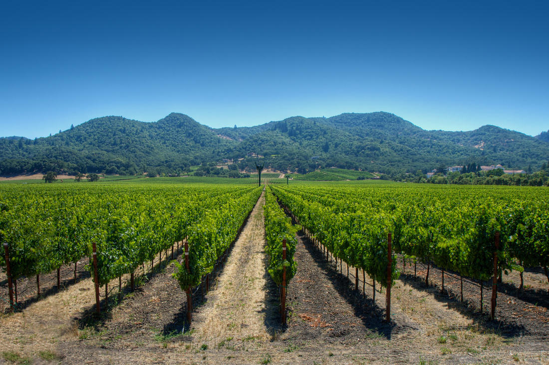 limo tours napa valley wineries